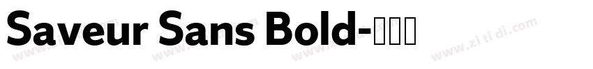 Saveur Sans Bold字体转换 Saveur Sans Bold字体转换